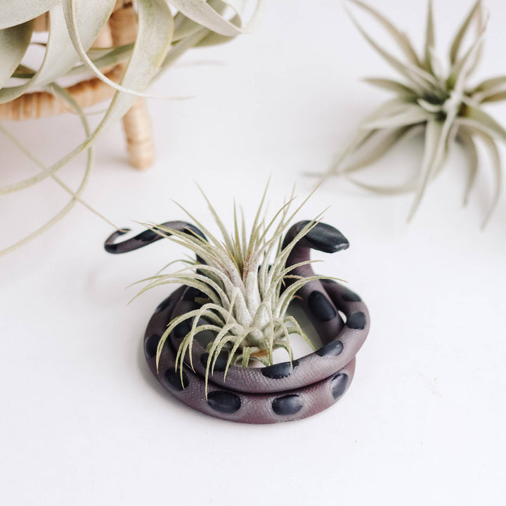 Medium Ceramic Snake (Saul-black/black)